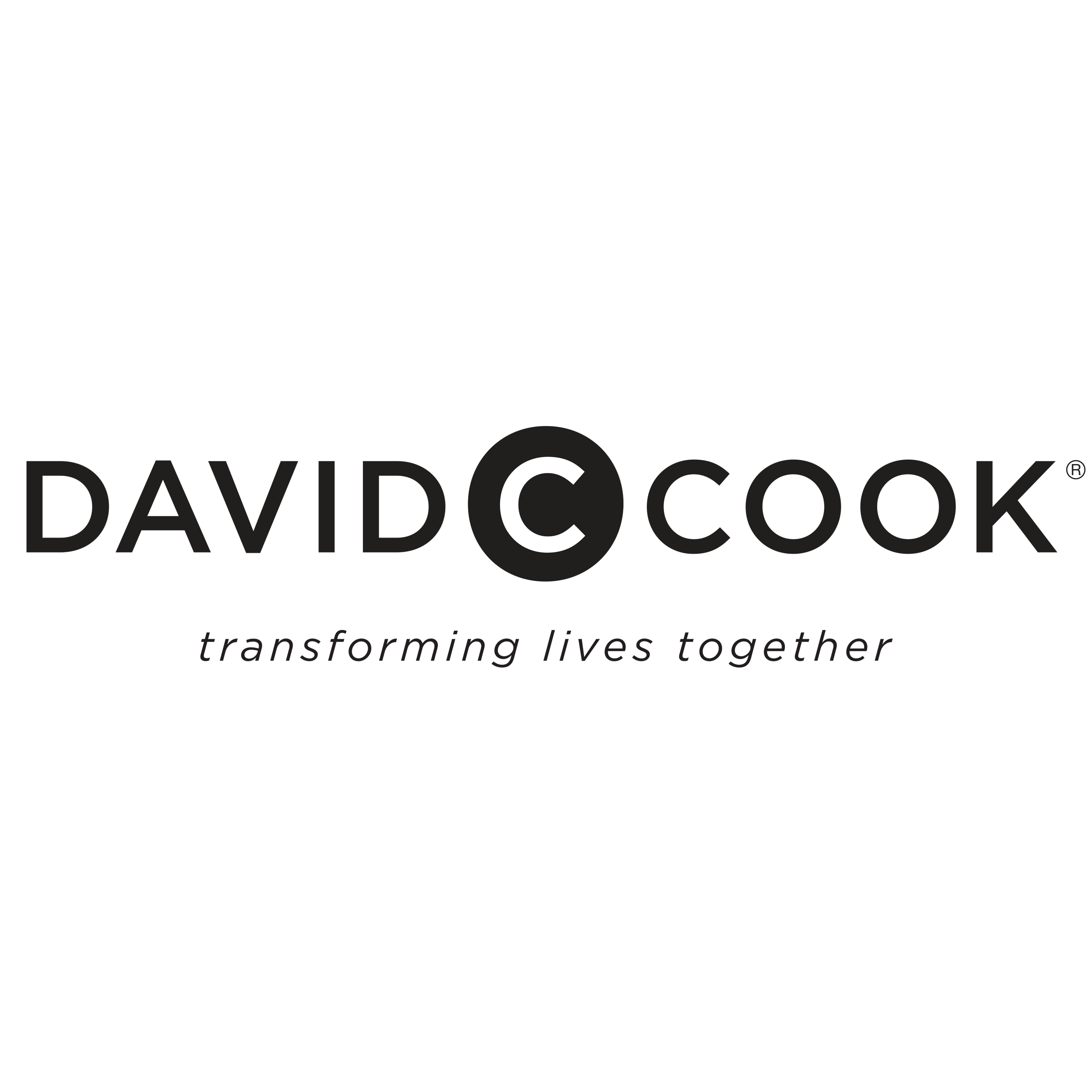 logo-2022-hole-davidccook